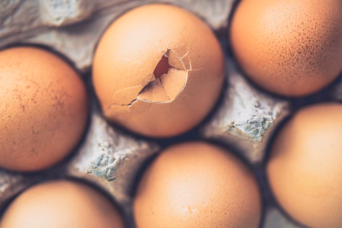 Ăn thịt nạc như trứng, cá, đậu, thịt gà giúp người bệnh ung thư có đủ năng lượng và sức khỏe để vượt qua giai đoạn hóa trị.