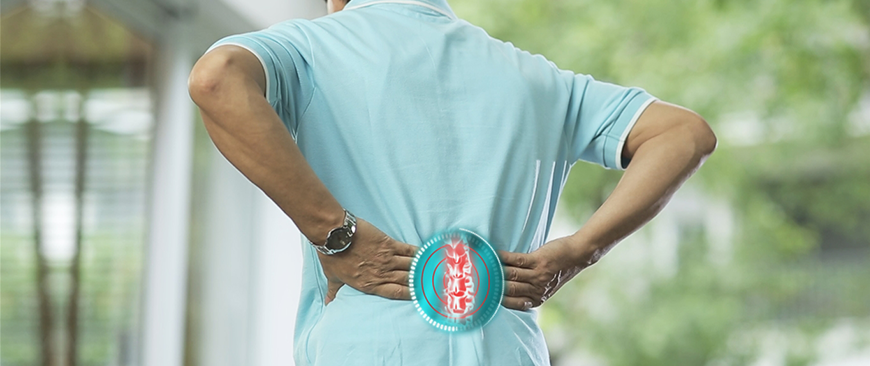 Hỗ trợ sức khỏe xương: Các chất dinh dưỡng quan trọng cần thiết để duy trì xương khỏe mạnh khi bạn có tuổi là protein, canxi và vitamin D. Tuy nhiên, việc bổ sung đủ vitamin A cũng cần thiết cho sự tăng trưởng và phát triển của xương.