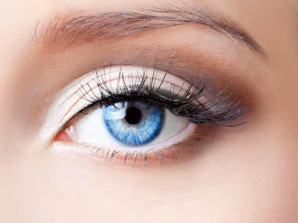 3. Tăng cường sức khỏe mắt: Những cây họ đậu này giúp tăng cường sức khỏe mắt bằng cách cung cấp cho bạn vitamin A và sản xuất sắc tố trong võng mạc của mắt.