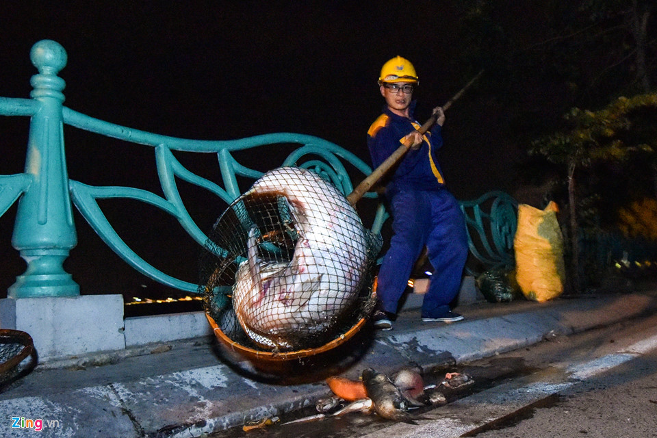 Anh Thông (thuộc Xí nghiệp 4, Công ty thoát nước Hà Nội) cho biết: “Mỗi đơn vị phụ trách 400m đường chia dọc bờ hồ, có lẽ hôm nay chúng tôi phải làm trắng đêm”.