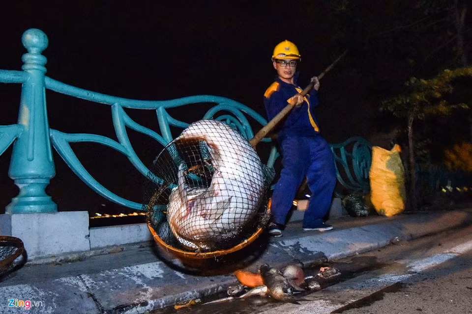 Anh Thông (thuộc Xí nghiệp 4, Công ty thoát nước Hà Nội) cho biết: “Mỗi đơn vị phụ trách 400m đường chia dọc bờ hồ, có lẽ hôm nay chúng tôi phải làm trắng đêm”.