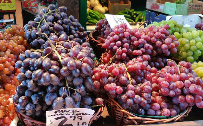 Các loại nho thường thấy ở đây là nho xanh và nho đen, có loại có hạt hoặc không hạt. Chúng đều mọng nước và rất ngọt.