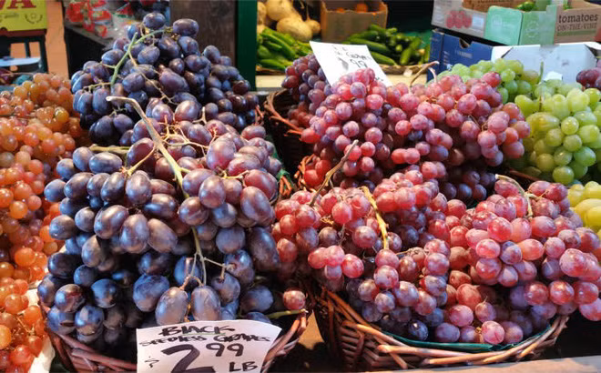 Các loại nho thường thấy ở đây là nho xanh và nho đen, có loại có hạt hoặc không hạt. Chúng đều mọng nước và rất ngọt.