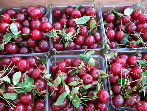 Ngoài anh đào tươi, bạn cũng có thể thử thêm nhiều sản phẩm khác từ quả ngọt này như mứt, bánh nướng hay bánh gato anh đào, không chỉ ngon miệng mà còn rất tốt cho sức khỏe.