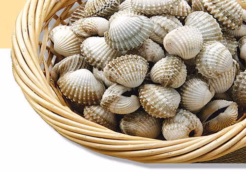 Chọn cò huyết ngon là khi bạn lấy những con lớn vừa ăn vì nếu nhỏ lúc luộc hoặc sò sẽ bị teo lại, còn to quá thì dễ bị dai. Sò còn tươi khi nhìn trên rổ thấy nhiều con đang thò lưỡi ra ngoài. Nếu sò ngậm miệng, nên ngửi sò, sò có mùi hôi không nên mua.