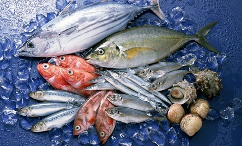 Chọn cá tươi thì nhìn mắt chúng phải sáng và linh hoạt. Một số loại cá, mắt có thể lồi ra một chút. Nếu ấn nhẹ vào mình cá mà thịt lại bật trở lại về nguyên trạng thì đó là cá tươi. Bản chất của thịt cá là có tính đàn hồi. Mang cá màu đỏ hoặc hồng.