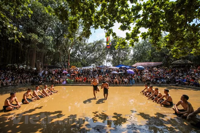 Hai đội tranh cướp một quả cầu bằng gỗ lim, đường kính khoảng 40cm rồi tìm cách đẩy vào hố ở phần sân đối phương. Quả cầu này được lưu truyền trong đình làng từ đời này qua đời khác. (Ảnh: Minh Sơn/Vietnam+)