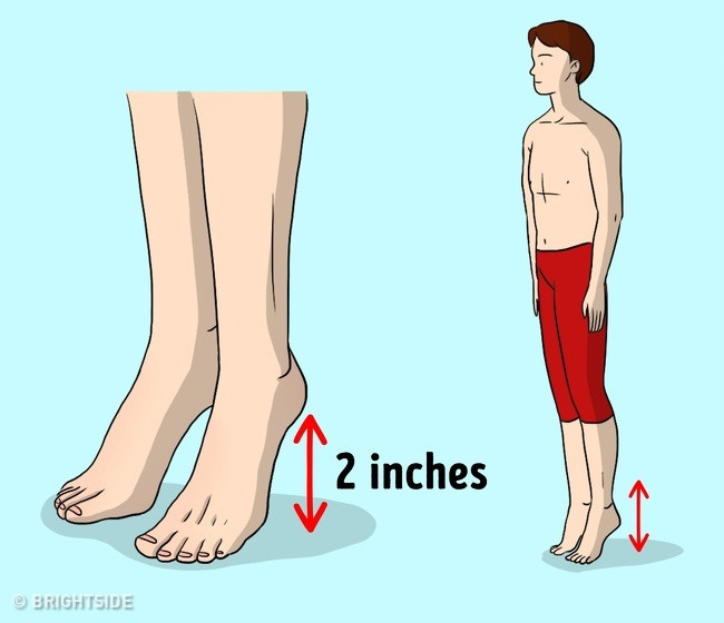 Bài tập nhún chân 30 giây giúp giảm căng thẳng. Để thực hiện, bạn hãy đứng thẳng với gót chân nâng lên khoảng 4-5 phân. Giữ yên rồi hạ xuống trong 30 giây. Thực hiện 8-10 lần một ngày.