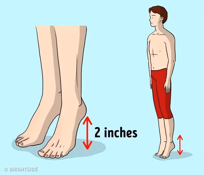 Bài tập nhún chân 30 giây giúp giảm căng thẳng. Để thực hiện, bạn hãy đứng thẳng với gót chân nâng lên khoảng 4-5 phân. Giữ yên rồi hạ xuống trong 30 giây. Thực hiện 8-10 lần một ngày.