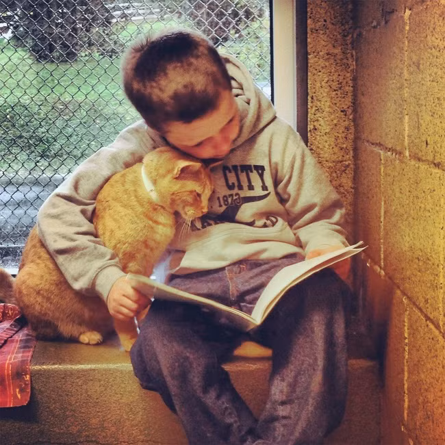 Thay vì cứ chăm chăm nghịch điện thoại trước khi ngủ bạn hãy thử thay đổi bằng thói quen đọc sách. Đọc sách ở thời điểm này sẽ giúp tinh thần bạn thoải mái, giảm bớt áp lực và những suy nghĩ tiêu cực.