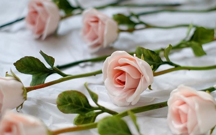 Hoa hồng sứ là kỷ vật lưu giữ “tình yêu vĩnh cửu” và thông điệp yêu thương tới phái đẹp. (Ảnh: Zing)