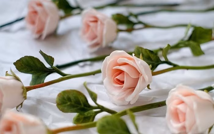 Hoa hồng sứ là kỷ vật lưu giữ “tình yêu vĩnh cửu” và thông điệp yêu thương tới phái đẹp. (Ảnh: Zing)