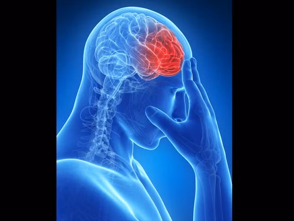 Sữa dê là một nguồn protein tuyệt vời giúp xây dựng cơ bắp.