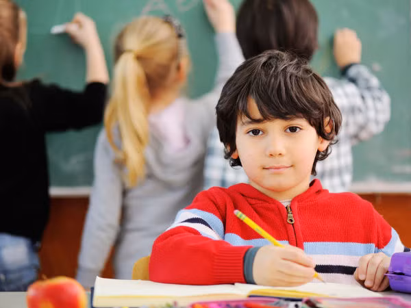 Lipid trong sữa dê có thể làm giảm lo lắng ở người. Nó cũng chứa acid linoleic liên hợp tác động đến sự phát triển của não người ở mọi lứa tuổi.