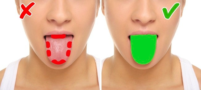 Lưỡi có 4 khu vực nhận thức vị giác: Trong thực tế, toàn bộ lưỡi có thể cảm nhận được hương vị và quan điểm cho rằng chỉ có 4 khu vực nhận thức vị giác là không chính xác.