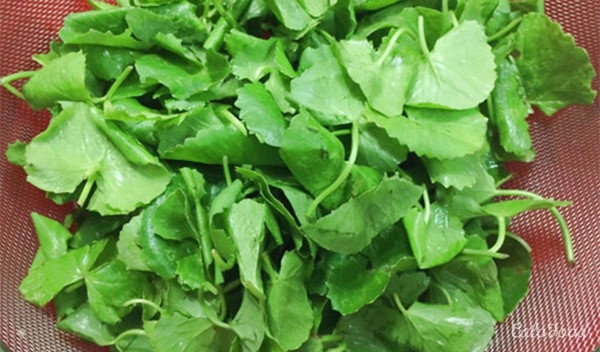 Mặt nạ rau má trị mụn. Lấy từ 30-40g rau má tươi mỗi ngày nghiền nát để dùng đắp mặt hoặc rửa mặt bằng nước rau má tươi.