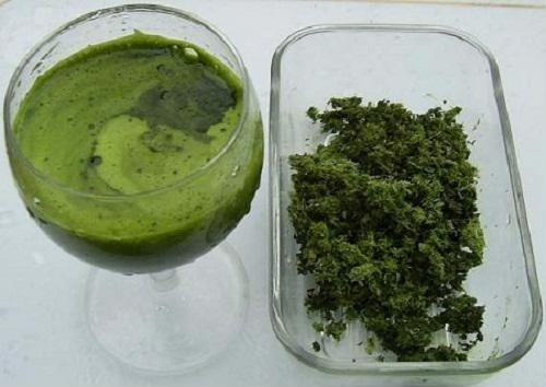 Ngoài xóa mờ nếp nhăn trên da mặt, dùng lá tía tô đúng cách còn dưỡng trắng da hiệu quả – Ảnh: Internet.