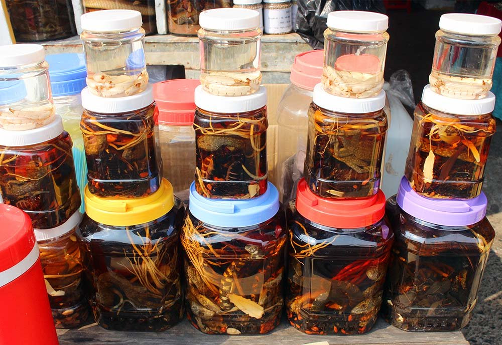 Những loại côn trùng, bò sát ngâm rượu được bày bán ở chợ Tịnh Biên.