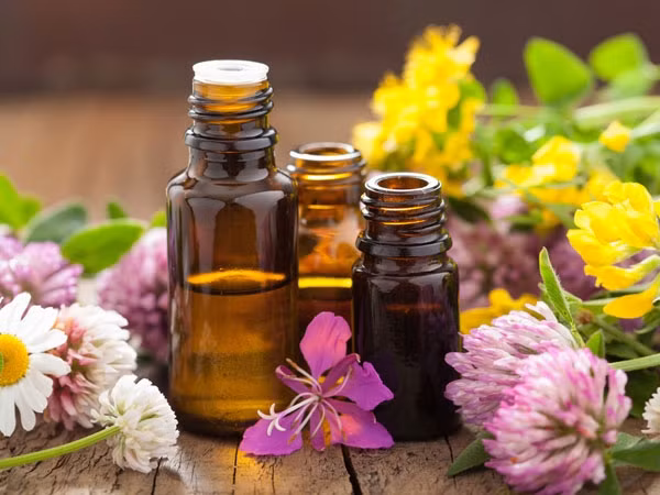 Đất sét Rhassoul + Dầu ô liu: Dùng 1 muỗng cà phê đất sét Rhassoul với 2 muỗng cà phê dầu ô liu trộn đều rồi thoa lên mặt.