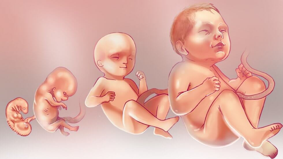 Trẻ có thể khóc trong bụng mẹ, ngay cả trước khi chúng được sinh ra. Chúng phát triển khả năng này trong tam cá nguyệt thứ ba. Ảnh: BS, Internet.