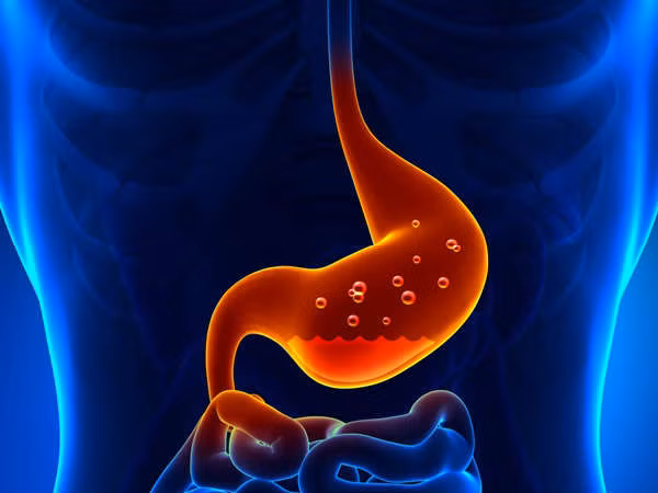 Chất xơ trong đậu cô ve có thể làm giảm các vấn đề về tiêu hóa như táo bón, loét dạ dày.