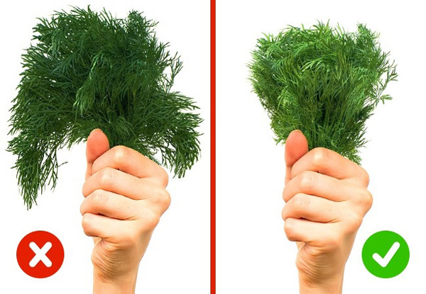 Khi chọn mua các loại rau thơm như thì là, rau mùi,... bạn hãy cầm cả bó rau và giơ lên, nếu lá rau bị xòe ra xung quanh nghĩa là chúng đã bị héo. Ngoài ra, rau thơm mà thân quá dài, có màu sẫm thường chứa nitrat. Rau ngon sẽ có màu xanh tự nhiên.
