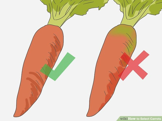 Chọn củ cà rốt ngon rất dễ: Chỉ cần chọn củ sáng màu, không có đốm và nhỏ.