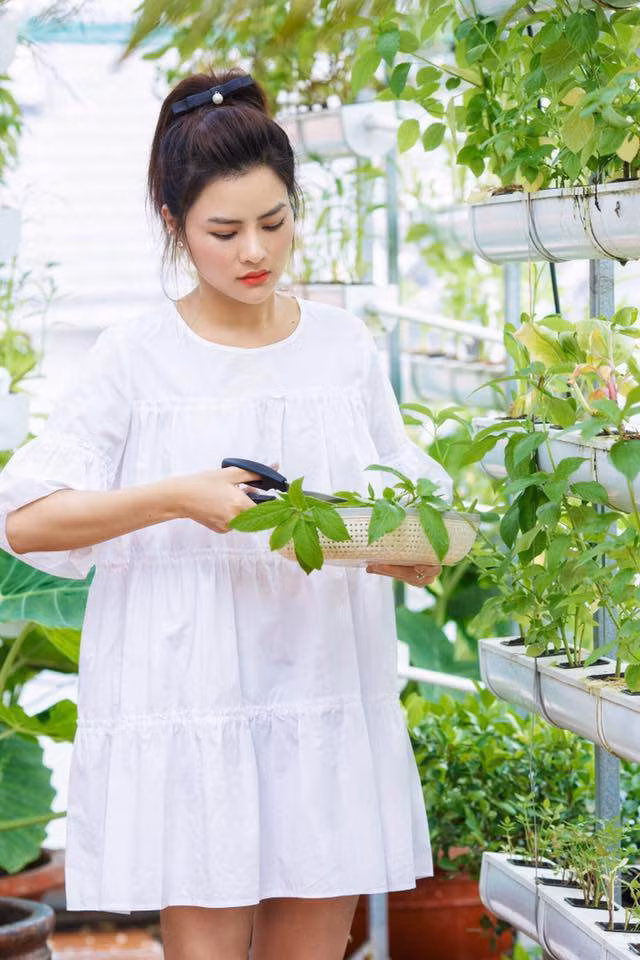 Chia sẻ thêm về lý do trồng rau trên sân thượng, cựu người mẫu từng cho biết cô thích vườn tược từ bé. "Ngày xưa ở Nam Định nhà cũng ở phố nên khi hè được về quê thích nhất là lao ngay ra vườn và ruộng, thích lắm luôn. Nhưng lý do lớn hơn hết thảy là vì mình lo cho cả gia đình".