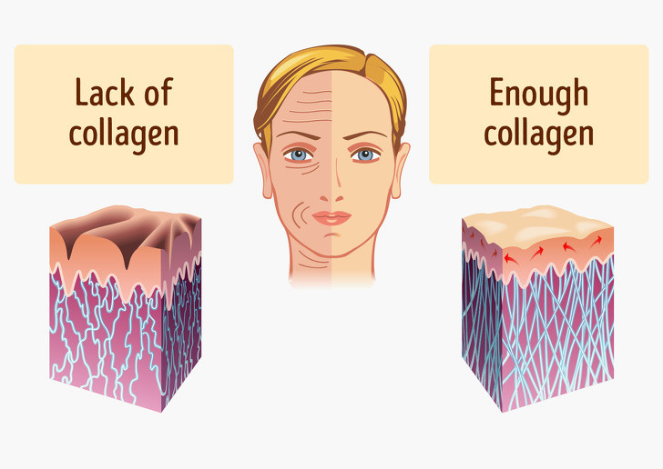 Cơ thể con người có thể tự sản xuất lượng collagen cần thiết. Tuy nhiên, sau tuổi 25, mức độ sản xuất tự nhiên bắt đầu chậm lại. Đây là lúc các nếp nhăn đầu tiên xuất hiện. Để ngăn ngừa da lão hóa, chúng ta nên bổ sung các thực phẩm giàu collagen.