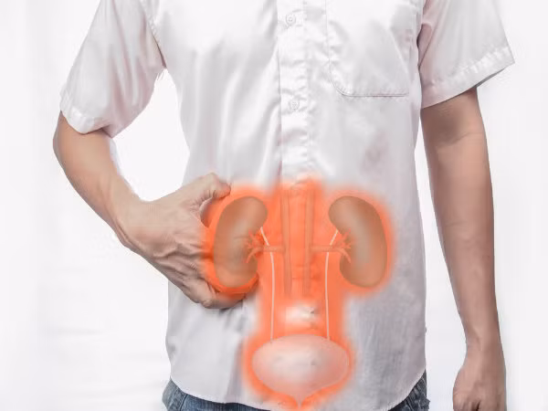 Uống nước râu ngô thường xuyên giúp trị các vấn đề về thận, bao gồm nhiễm trùng đường tiểu, viêm bàng quang, viêm hệ tiết niệu, sỏi thận.