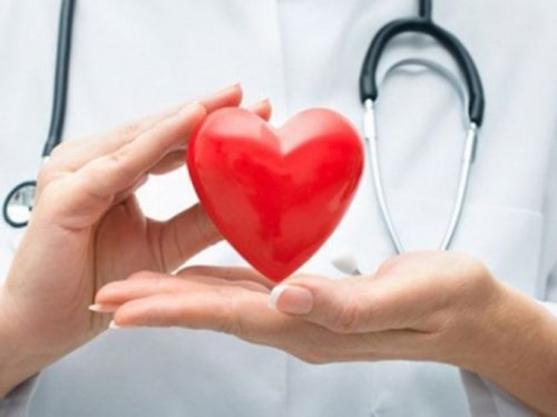 6. Tăng cường sức khoẻ tim mạch: Dưa chuột chứa hàm lượng potassium cao, rất tốt trong việc điều chỉnh huyết áp của bạn. Quan trọng là phải duy trì được sự cân bằng giữa potassium và sodium.