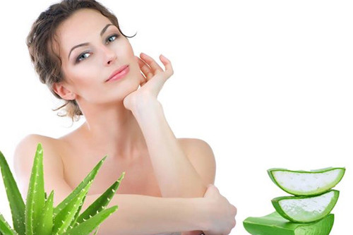 Chất nhựa trong suốt của lá nha đam chứa axit cinamic, axit folic và các loại vitamin B1, B2, B6… cùng nhiều vi chất khác giúp tái sinh tế bào (loại bỏ tế bào lão hóa, đẩy nhanh sản sinh tế bào mới), khiến da luôn tươi trẻ, mịn màng. Sau đây là một số loại mặt nạ nha đam giúp da trắng mịn tự nhiên.