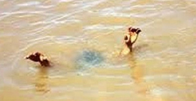 Ảnh minh họa: Internet.