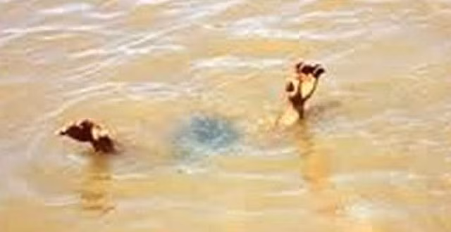 Ảnh minh họa: Internet.