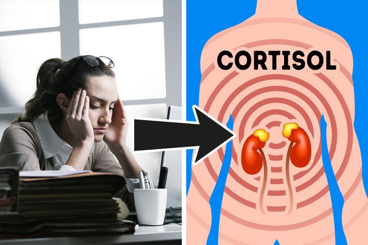 Cortisol là hormone được tiết ra bởi các tuyến thượng thận khi bạn bị trầm cảm, lo âu, căng thẳng...Cách ngăn ngừa tăng cân do hormone này: Ngủ ít nhất 8 tiếng mỗi đêm; Tập thở sâu, yoga và ngồi thiền mỗi ngày...