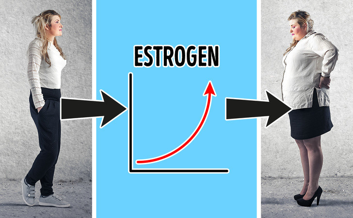 Estrogen là hormone rất quan trọng của phụ nữ, có thể gây tăng cân. Cách ngăn ngừa là ăn ngũ cốc nguyên hạt, rau tươi và trái cây và thể dục đều đặn.