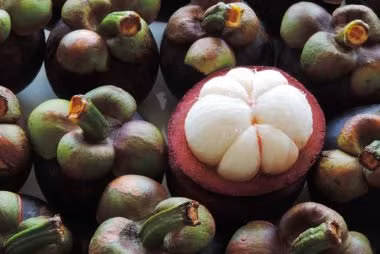 Quả măng cụt có lớp vỏ dày màu tím và phần thịt trắng bên trong mềm và ngọt. Loại quả này giàu pericarp, một chất chống oxy hóa, giúp bảo vệ cơ thể bạn khỏi các gốc tự do có hại.