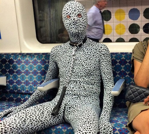 Nhìn hình ảnh này, có lẽ nhiều người sẽ tự hỏi có phải một con báo đốm vừa mới xổng chuồng?