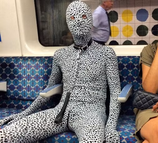 Nhìn hình ảnh này, có lẽ nhiều người sẽ tự hỏi có phải một con báo đốm vừa mới xổng chuồng?