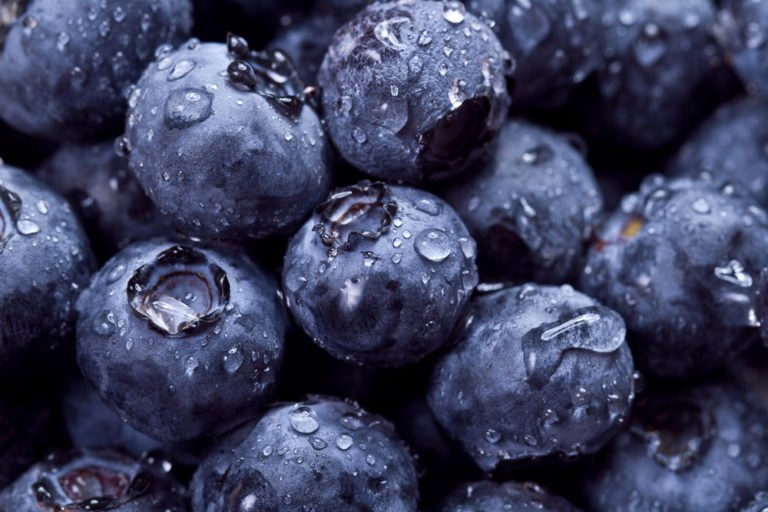 Quả việt quất chứa hàm lượng cao các chất chống oxy hóa và vitamin C có thể giúp chống lại nhiều bệnh tật. Quả này còn chứa anthocyanin, một loại sắc tố giúp tăng cường chức năng của não bộ. Ảnh: Shutterstock.