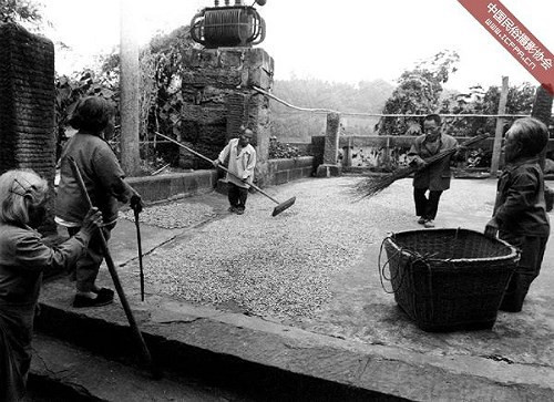 Nhiều nhà khoa học khắp nơi đã đến đây nghiên cứu, họ cho rằng, nước ăn có nhiễm thủy ngân nồng độ cao gây ra hiện tượng này. Tuy nhiên, chính phủ Trung Quốc phủ nhận và cấm các du khách tới đây.