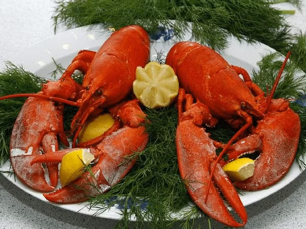 Sau khi tôm hùm chết, có một số loại vi khuẩn và chất độc bắt đầu sinh sản trên người chúng. Vì vậy, bất cứ khi nào bạn chế biến tôm hùm, trước tiên bạn nên đun sôi nó trong nước nóng rồi mới nấu.