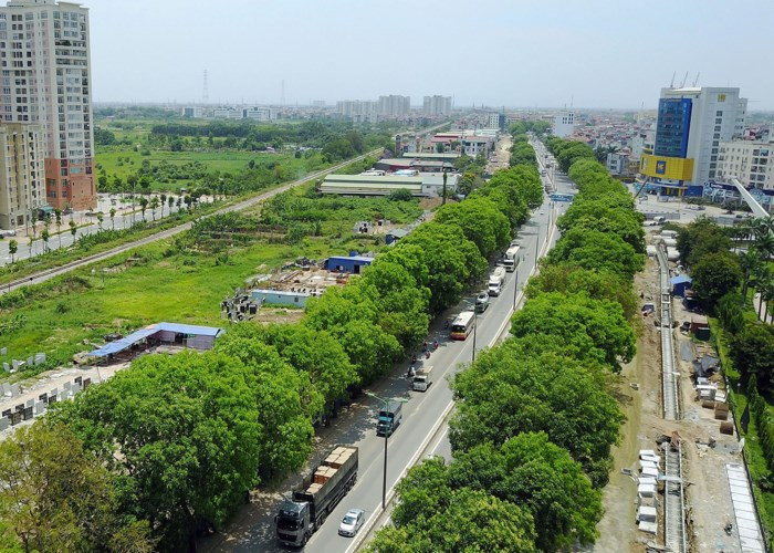 Những hàng cây xanh liên tiếp bị chặt hạ để nhường chỗ cho các công trình giao thông khiến Hà Nội ngày càng thiếu những "lá phổi xanh" điều hòa không khí, khói bụi... trong những ngày nắng nóng.