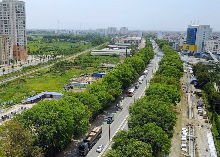 Những hàng cây xanh liên tiếp bị chặt hạ để nhường chỗ cho các công trình giao thông khiến Hà Nội ngày càng thiếu những "lá phổi xanh" điều hòa không khí, khói bụi... trong những ngày nắng nóng.