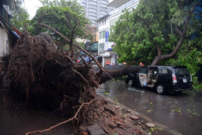 Mùa hè tại Hà Nội cũng là mùa mưa dông nhiều, kèm theo những cơn bão xuất hiện ngoài biển có thể khiến Thủ đô chịu một số ảnh hưởng như gió to, giật mạnh khiến cây gẫy đổ...