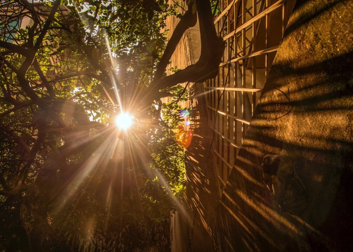 Một mùa hè nữa đang đến và người dân đang phải hứng chịu những ảnh hưởng tiêu cực do thời tiết gây ra, trong đó có những nguyên nhân do chính con người.