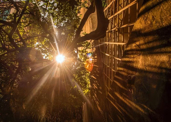 Một mùa hè nữa đang đến và người dân đang phải hứng chịu những ảnh hưởng tiêu cực do thời tiết gây ra, trong đó có những nguyên nhân do chính con người.