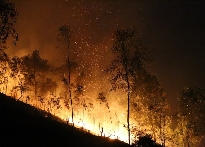 Nhiệt độ tăng cao cũng làm gia tăng các vụ cháy rừng. Trong ảnh là vụ cháy rừng tại Sóc Sơn vào tháng 6/2017. Đây là vụ cháy rừng lớn nhất trong lịch sử Hà Nội.
