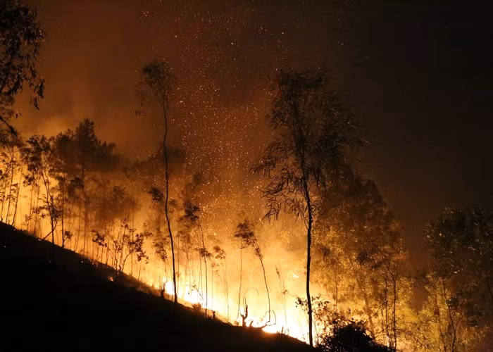 Nhiệt độ tăng cao cũng làm gia tăng các vụ cháy rừng. Trong ảnh là vụ cháy rừng tại Sóc Sơn vào tháng 6/2017. Đây là vụ cháy rừng lớn nhất trong lịch sử Hà Nội.
