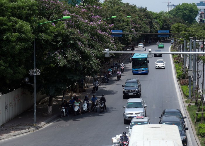 Những hàng cây tạo bóng râm như trên đường Kim Mã ngày càng thiếu hụt tại Hà Nội.